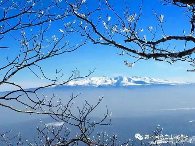 江西政协委员吁借“侨”建海外仓 力促跨境电商发展